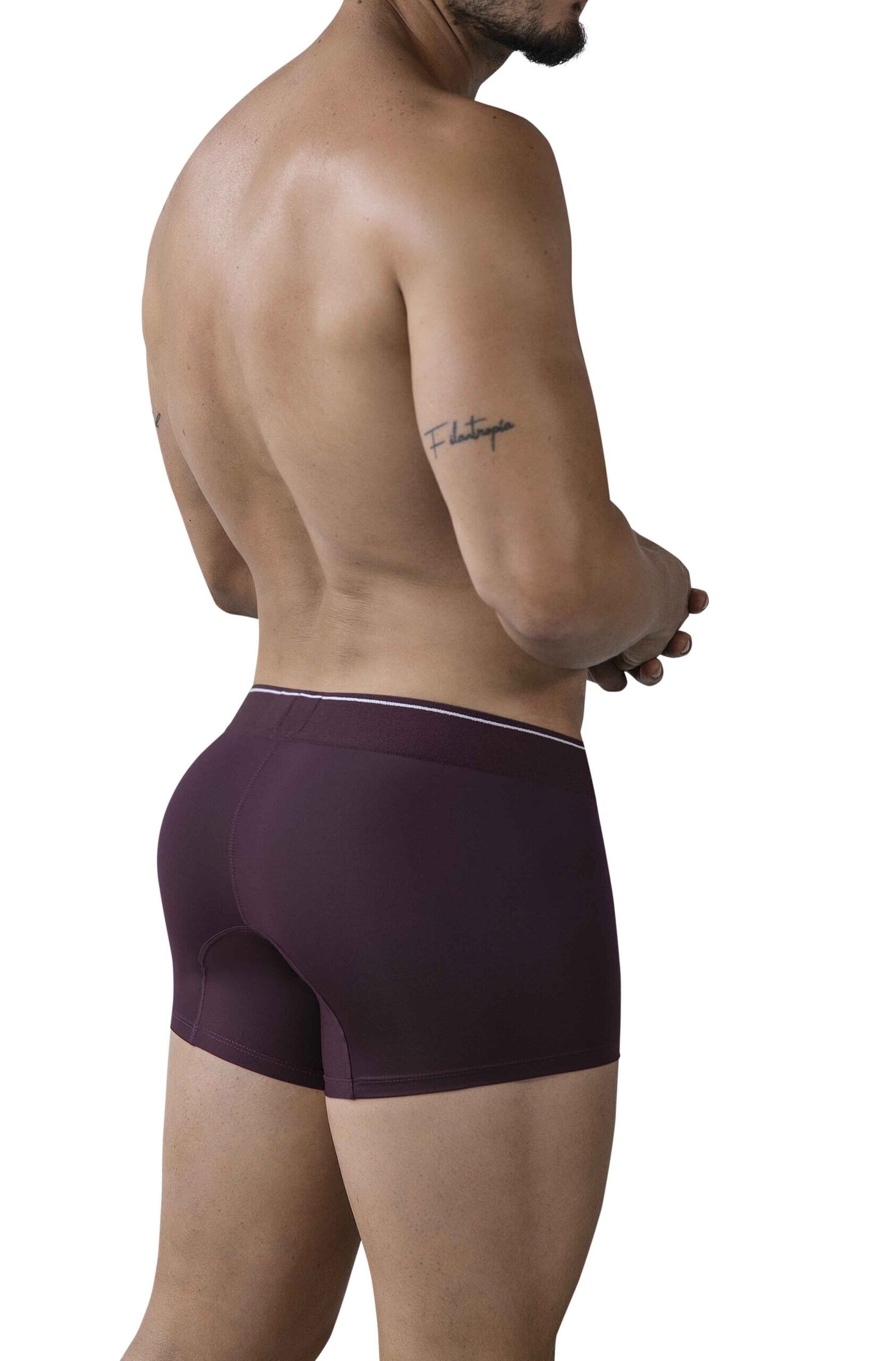Boxer clever valladolid - Imagen 3